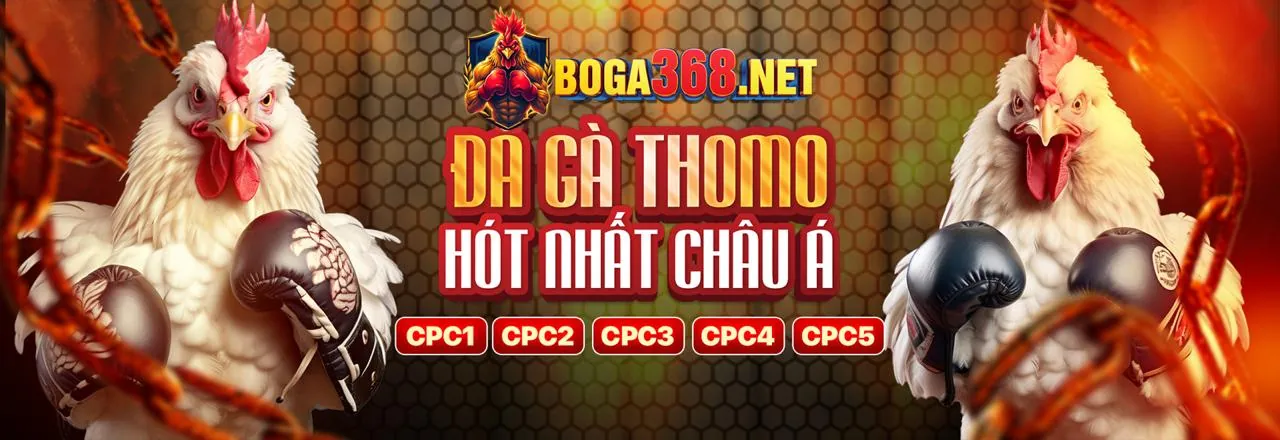 Hình ảnh giới thiệu a666 nhà cái