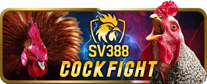 Chiến lược cá cược và quản lý vốn tại a666 nhà cái